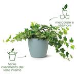 brussels round 22cm white